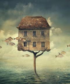 Ноћ победница.