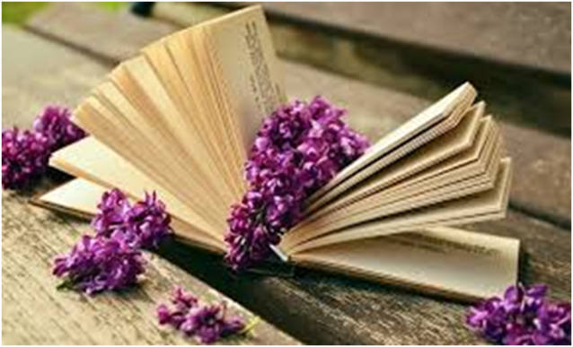 Књижевна олимпијада