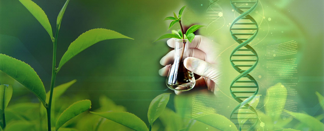 Општинско такмичење из биологије