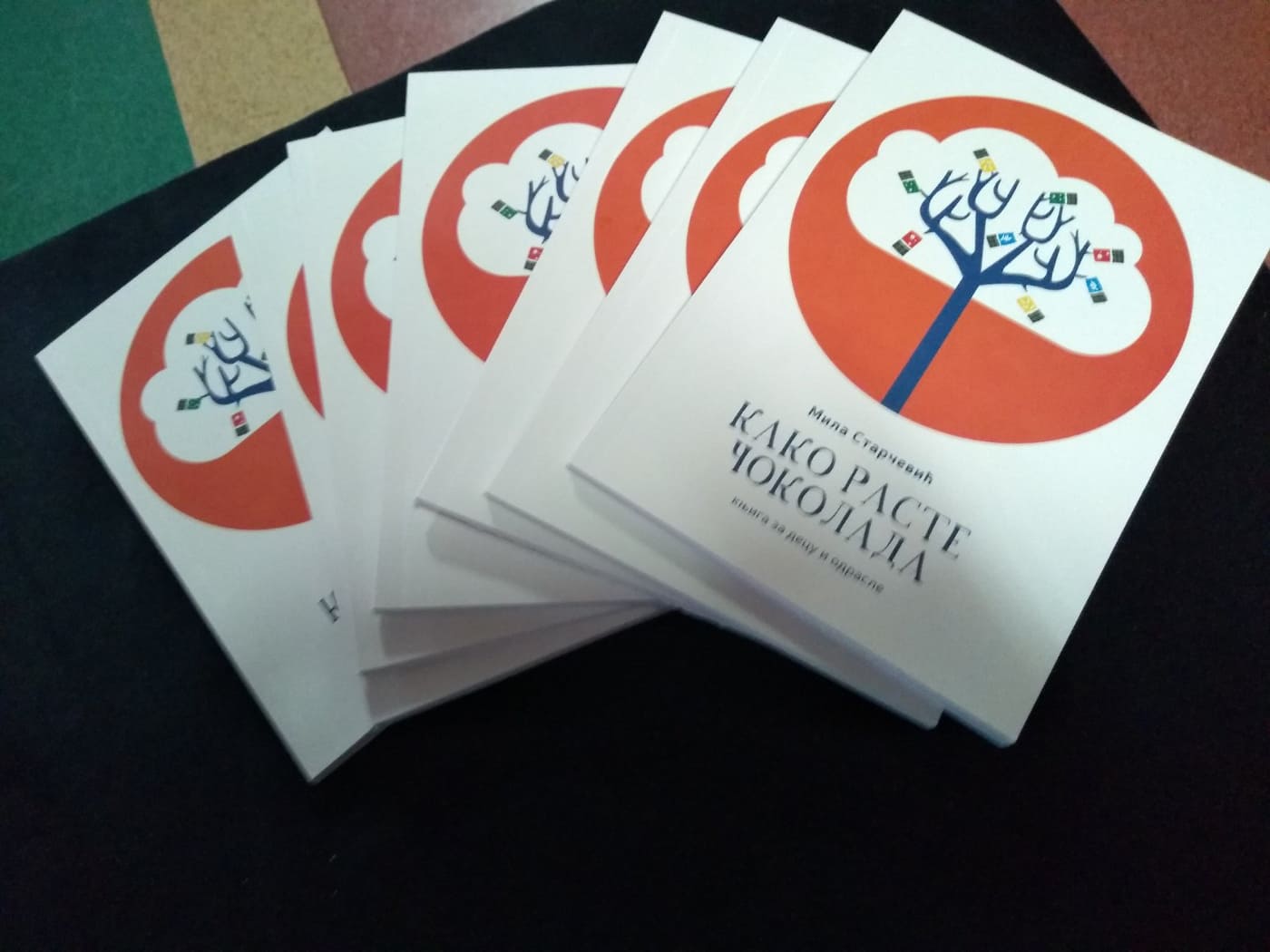 Промоција књиге Миле Старчевић у нашој школи