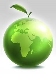 Резултати наших ученика на општинском такмичењу из биологије