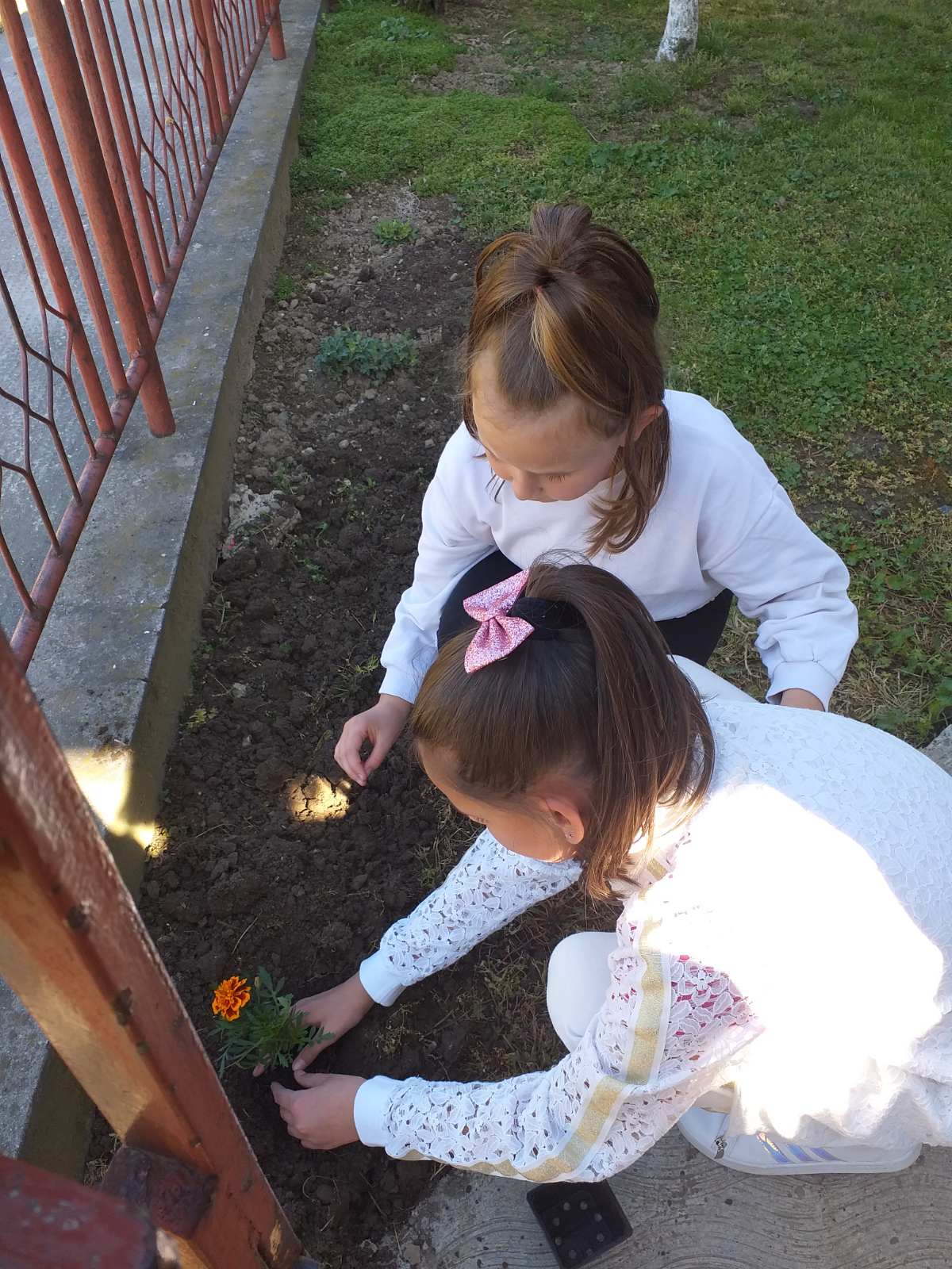 Цвеће у сусрет празницима