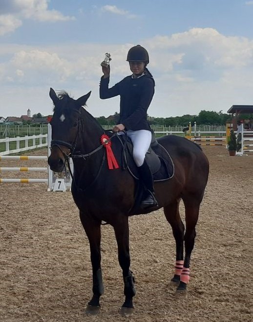 Наши успеси ван школе